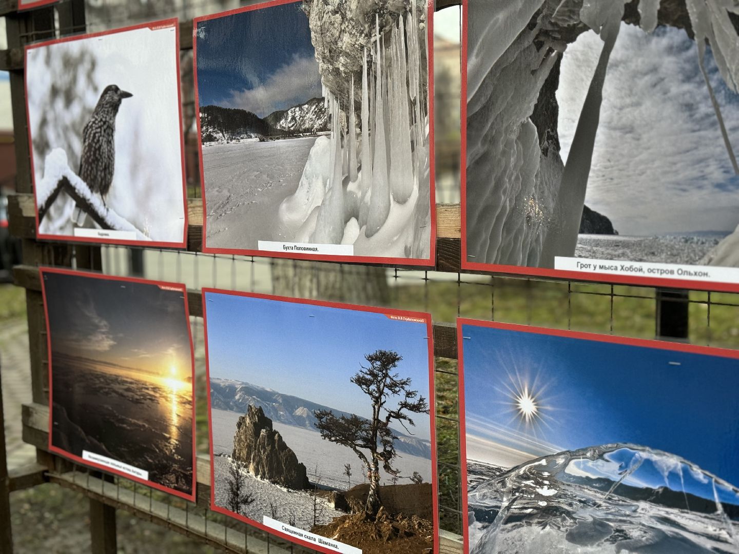 фотовыставка , ленинский городской округ, сквер юность,