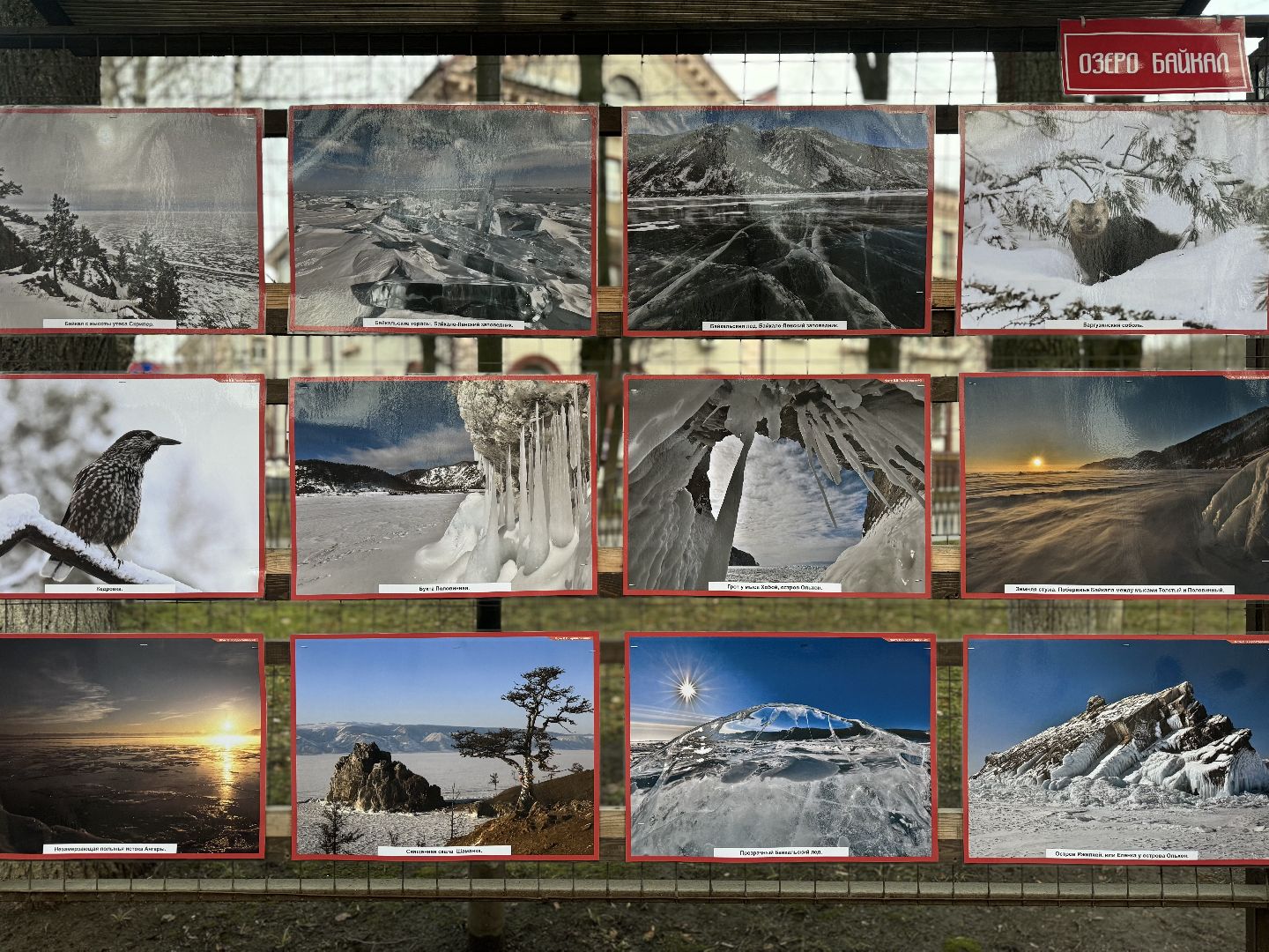 фотовыставка , ленинский городской округ, сквер юность,