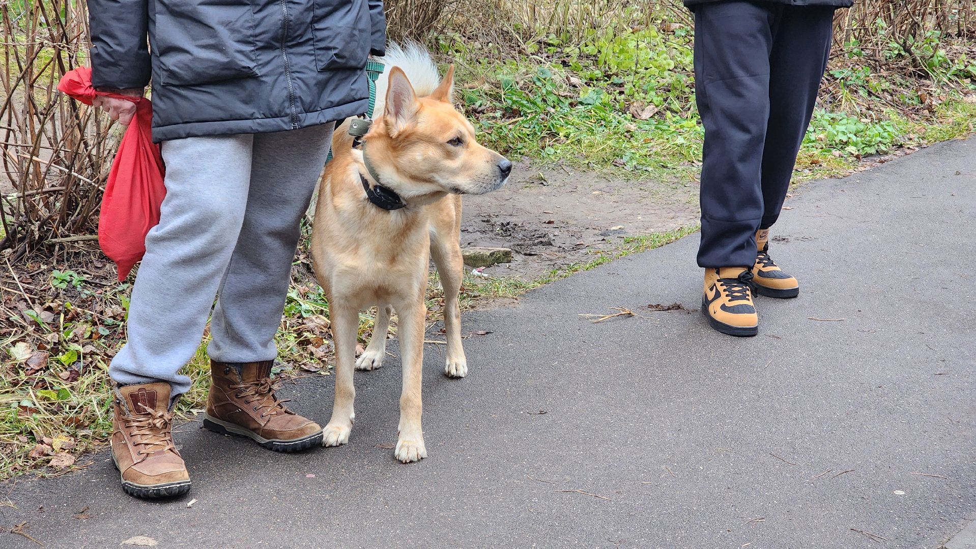 обход города, благоустройство, протвино,
