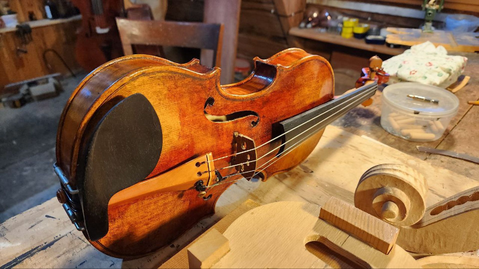 Дмитров, Скрипичный мастер, Скрипка Страдивари, Андрей Зубенко,