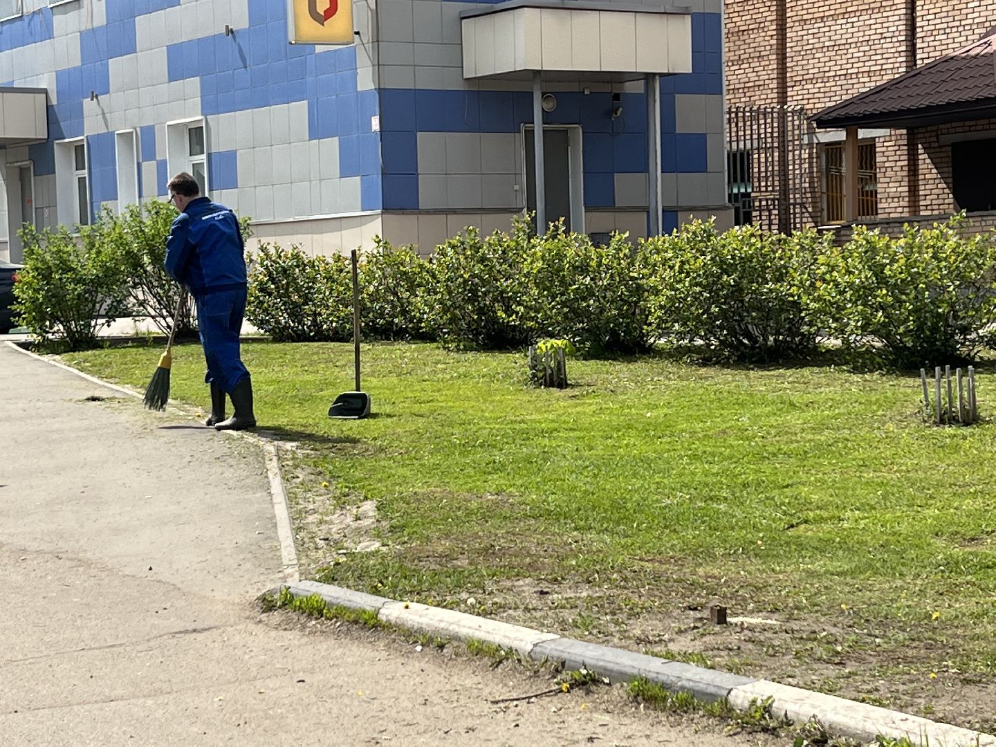 Химки, благоустройство, покос травы, уборка города