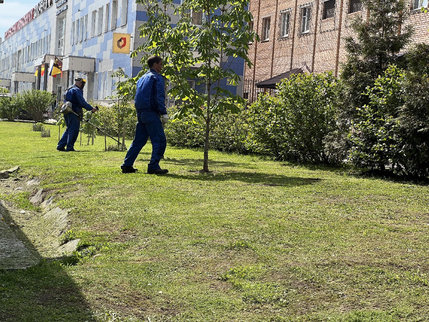 Химки, благоустройство, покос травы, уборка города