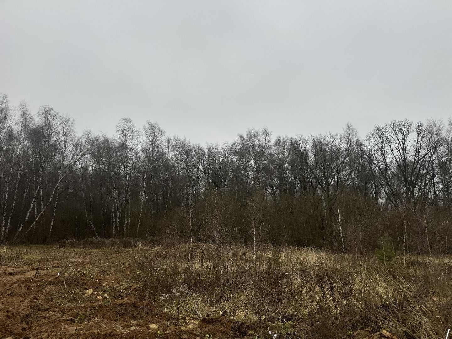 коробовский лесопарк , благоустройство парка , ленинский городской округ, группа компания самолет ,