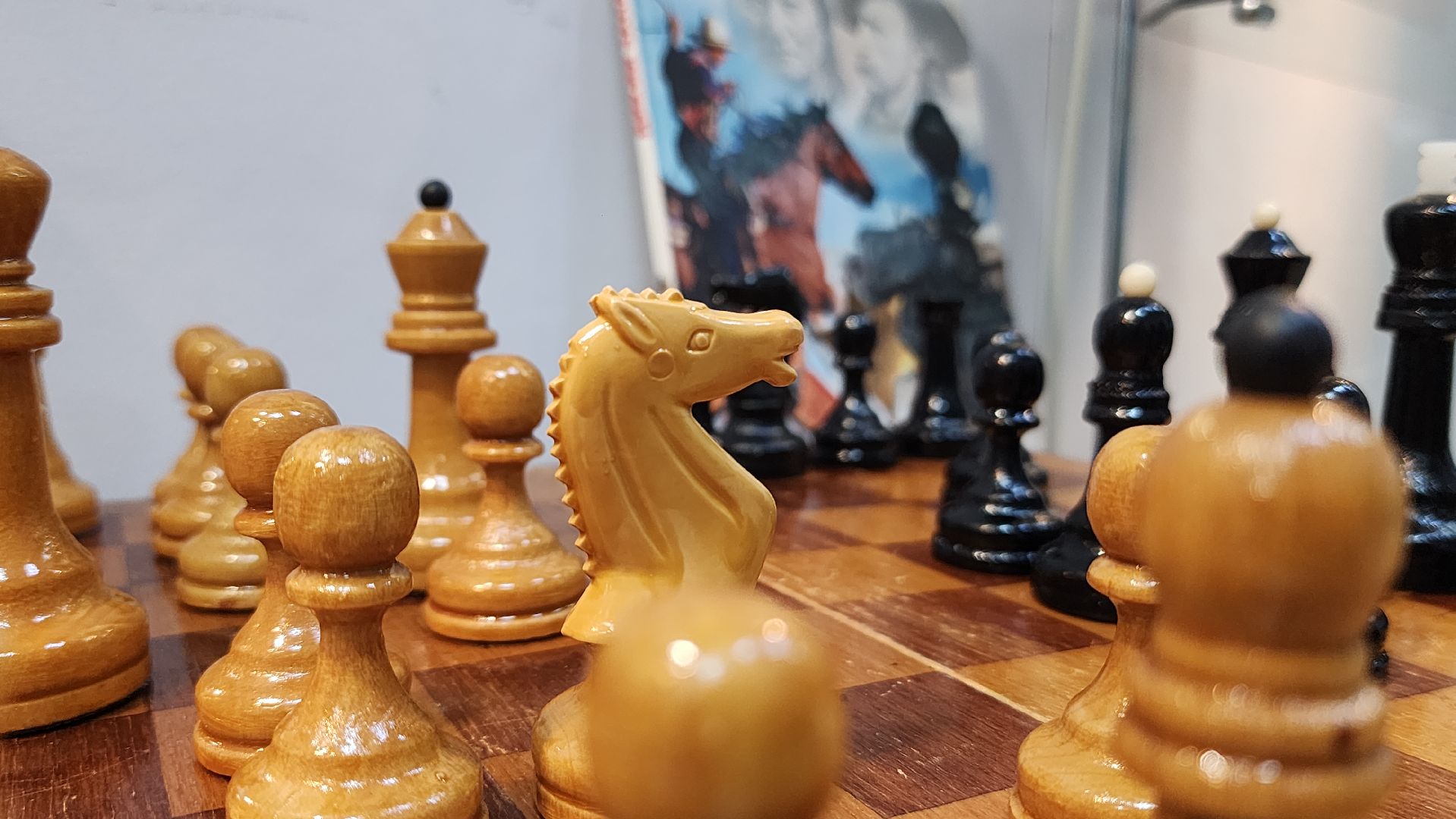 волоколамск, год лошади, библиотека, выставка,