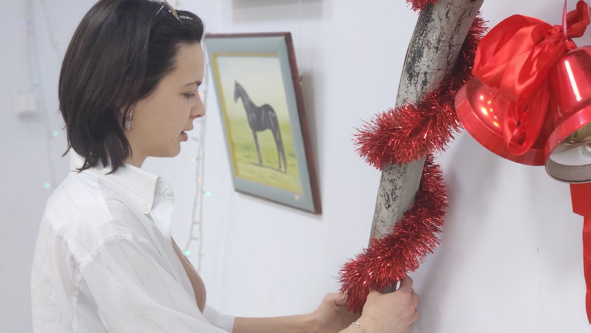 волоколамск, год лошади, библиотека, выставка,