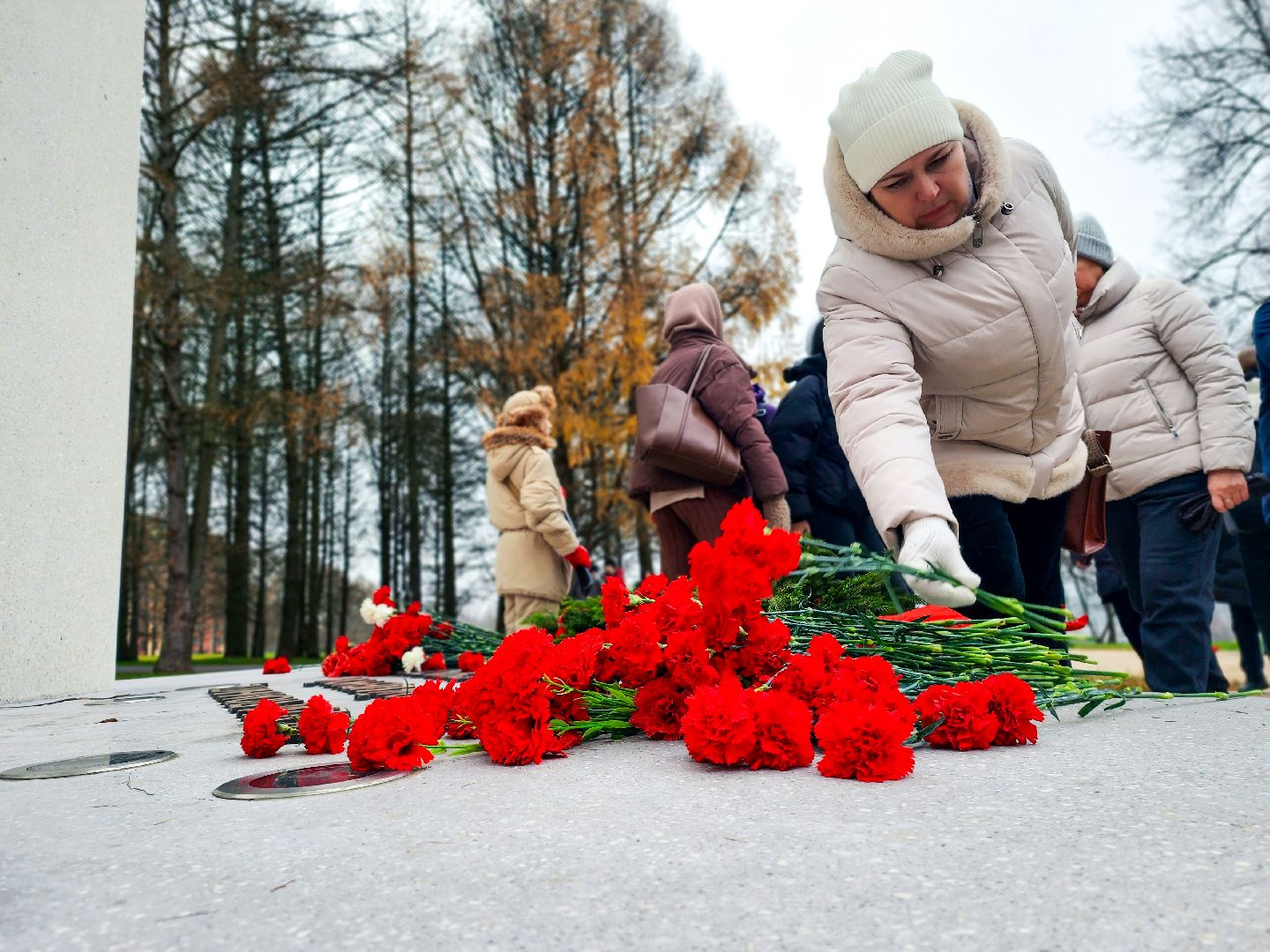 пущино, серпухов, патриотизм,