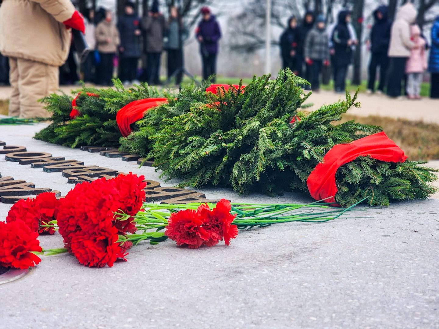 пущино, серпухов, патриотизм,