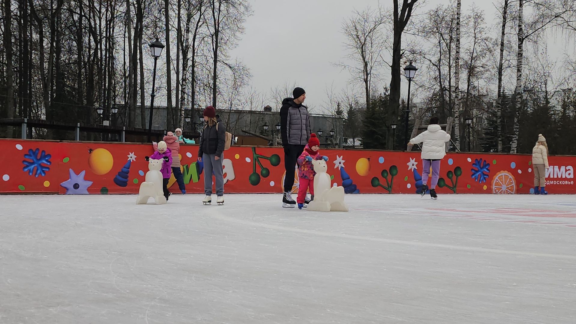 истра, каток, зима в подмосковье,