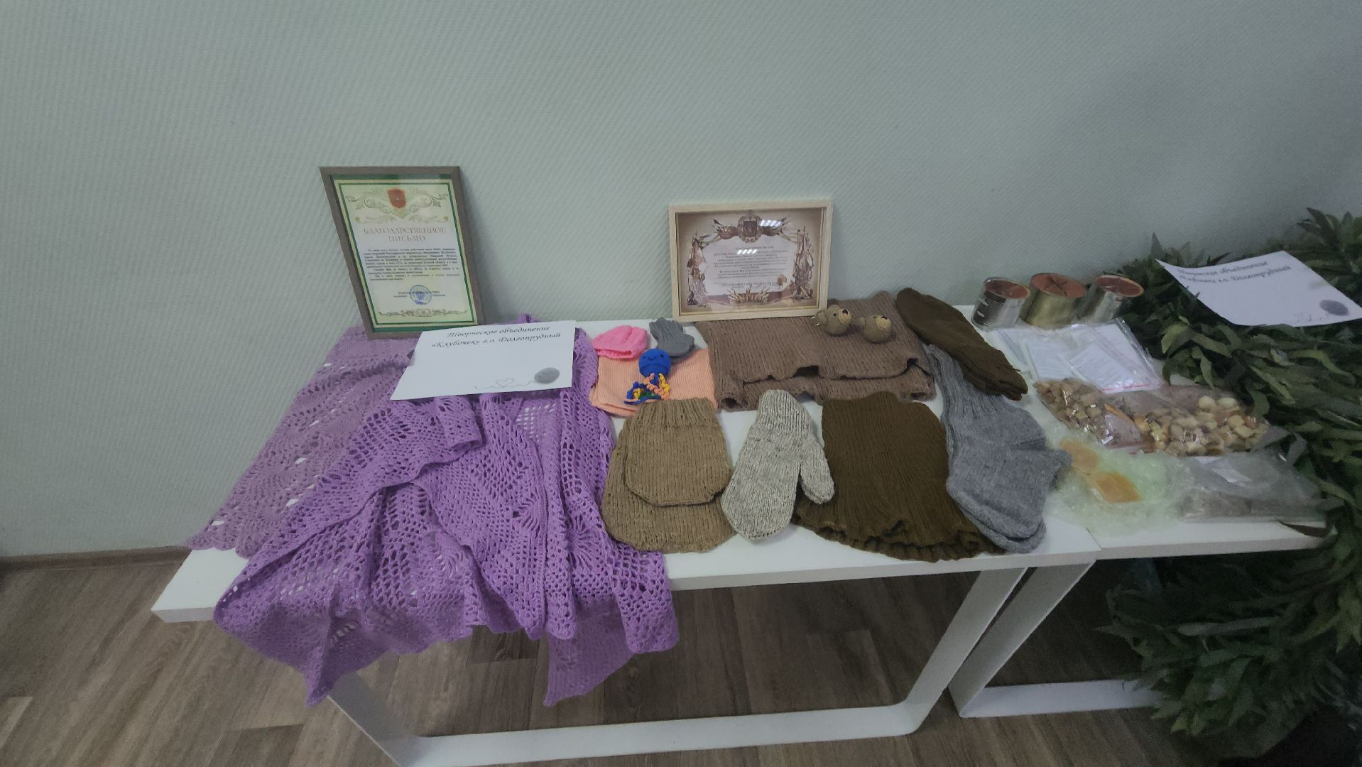 долгопрудный, волонтеры, день добровольца, амбассадор, олег сотник, глава долгопрудного, маскировочная накидка,сво, волонтерыподмосковья,