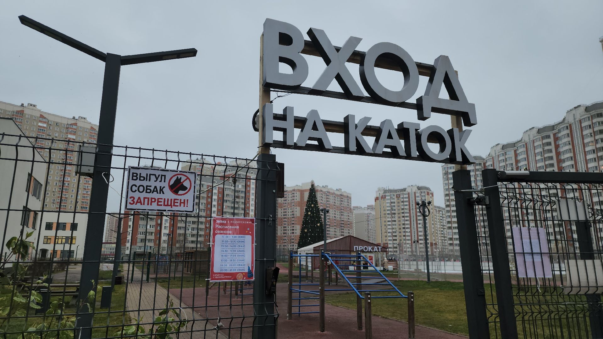 каток, зима в  подмосковье, путилково,