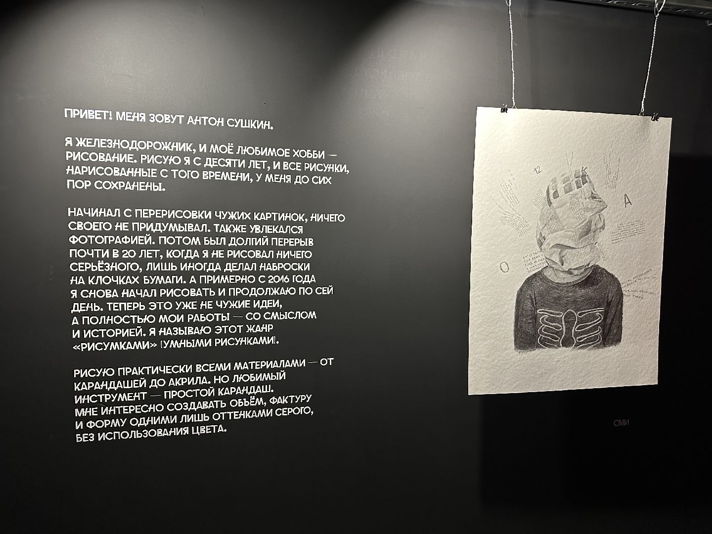 художественная выставка, домодедово, картины,