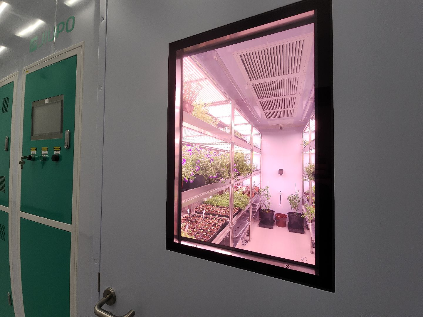 Черноголовка, Научно-исследовательский центр, Август,