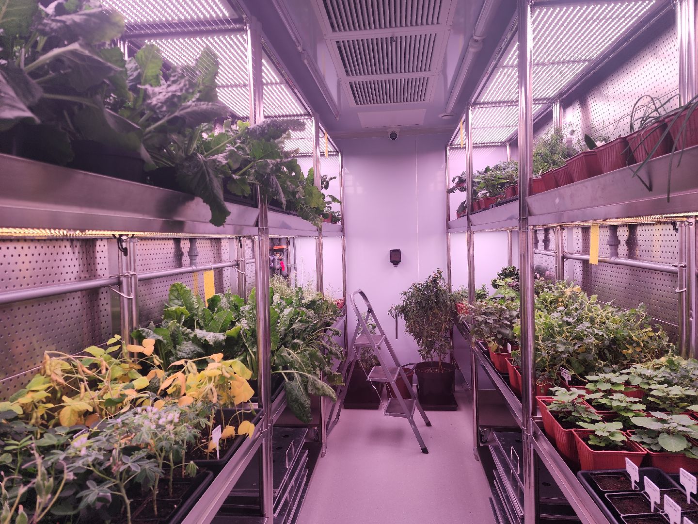 Черноголовка, Научно-исследовательский центр, Август,