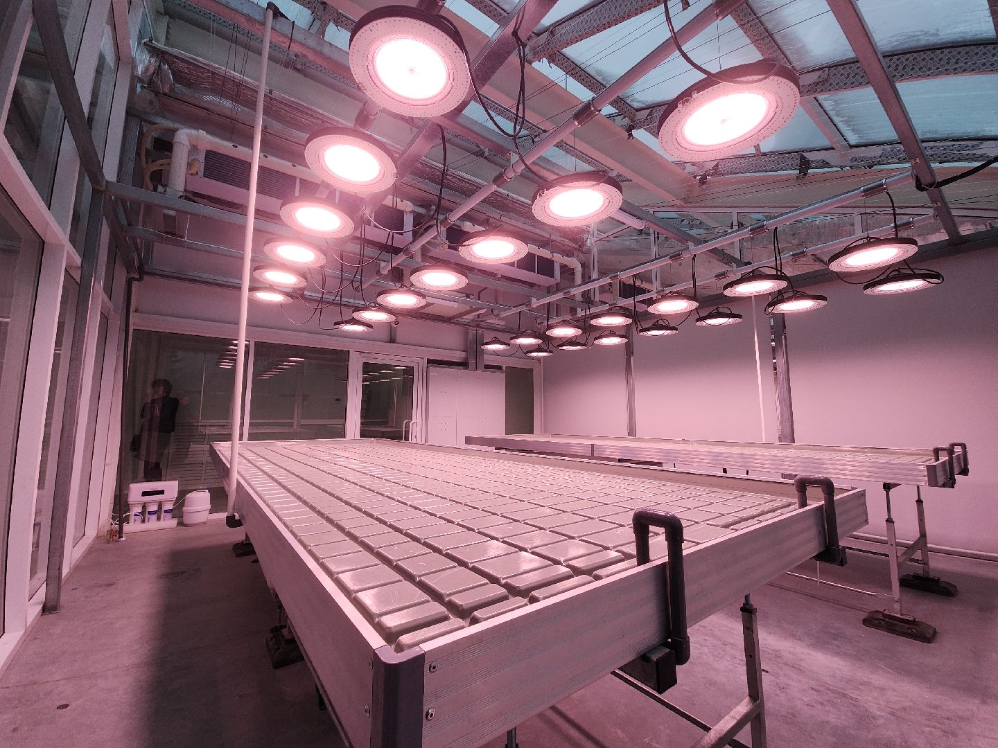 Черноголовка, Научно-исследовательский центр, Август,