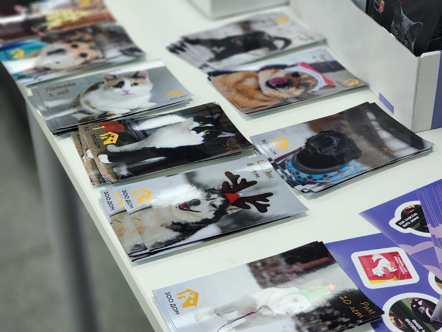 королёв, зоо дом, кванториум в королеве, благотворительность, добро,