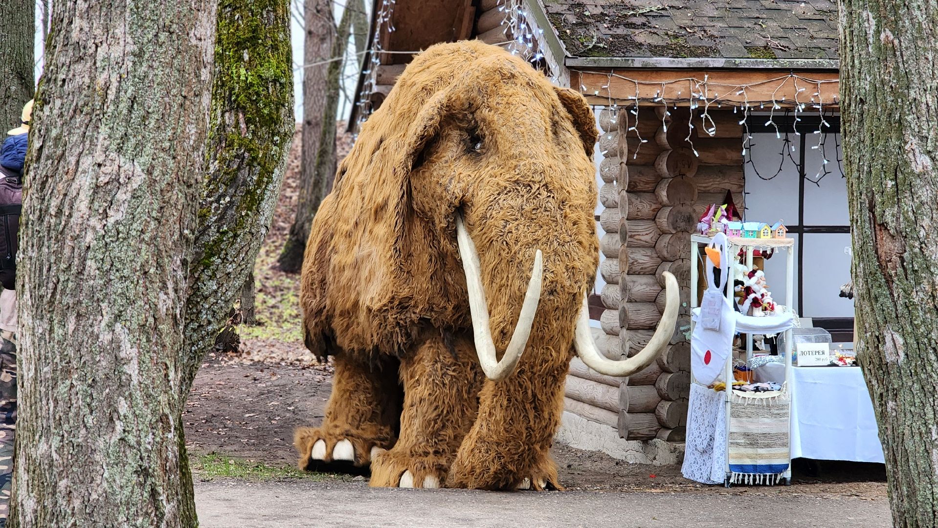 Руза, начало зимнего сезона, Парк городок, барабанное шоу,