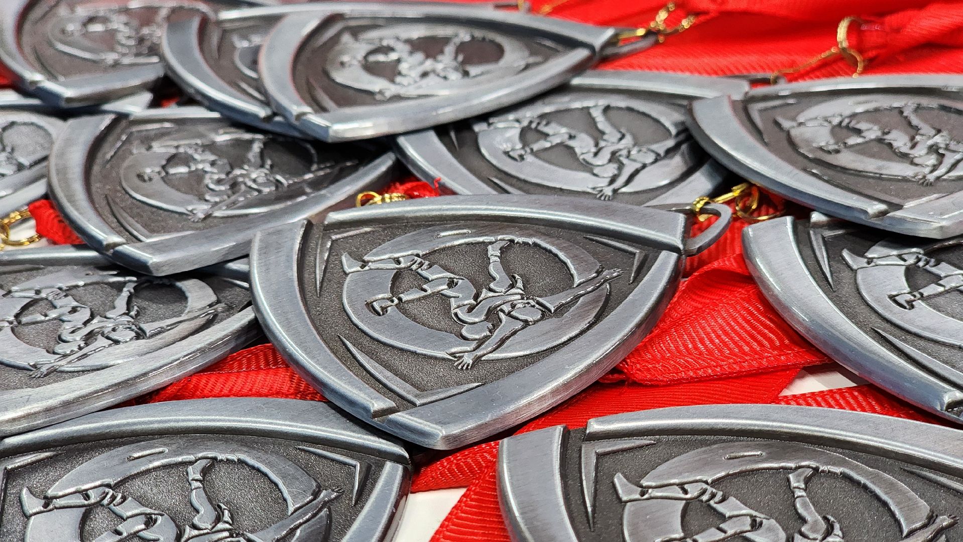 Руза, Спорт, Панкратион,