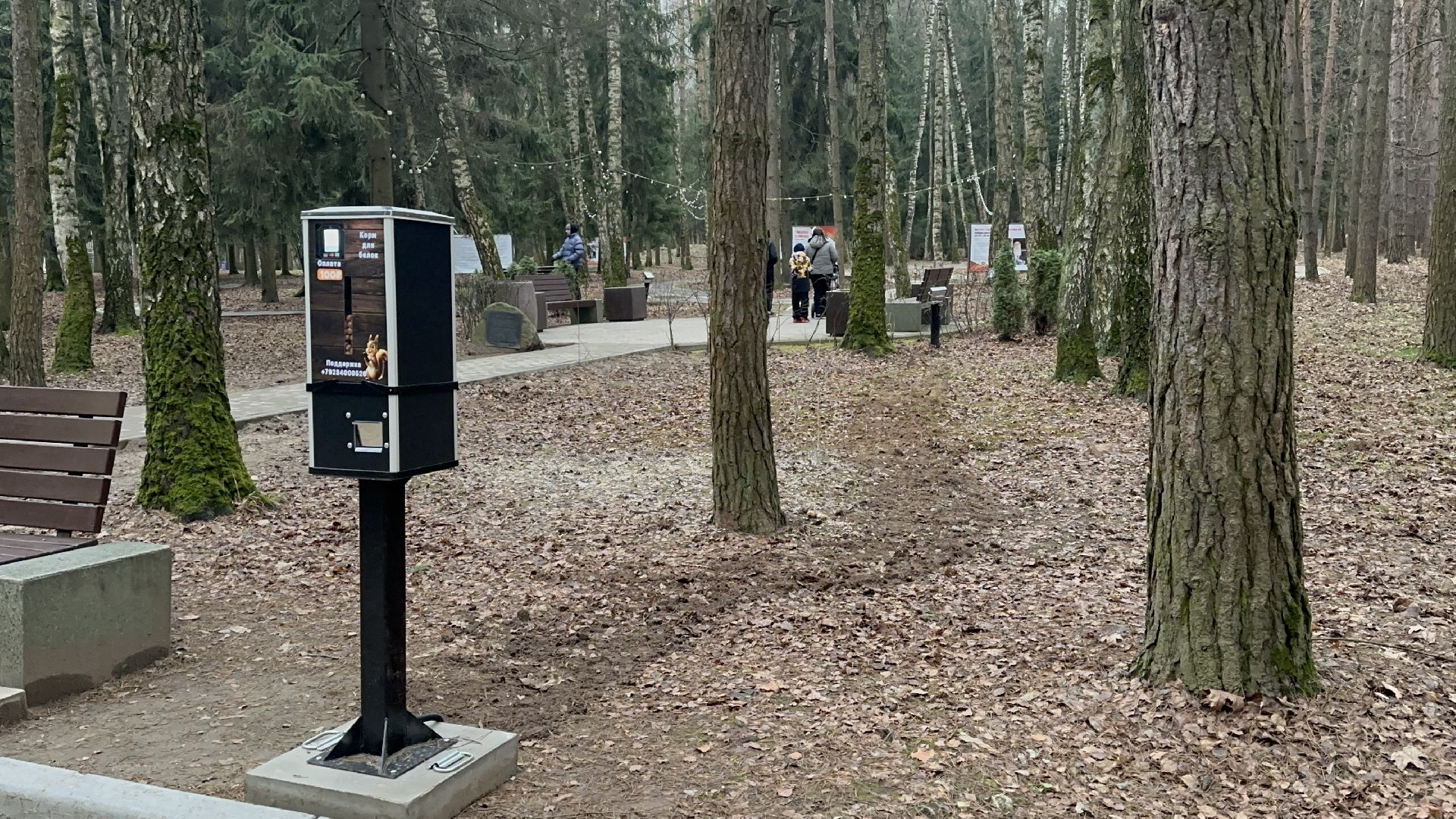 парки, домодедово,