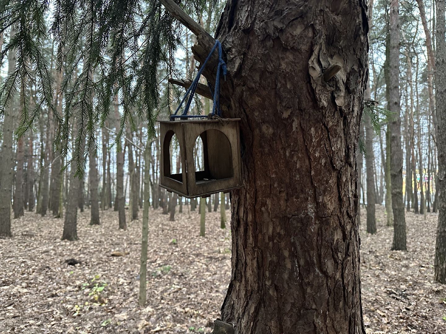 парки, домодедово,