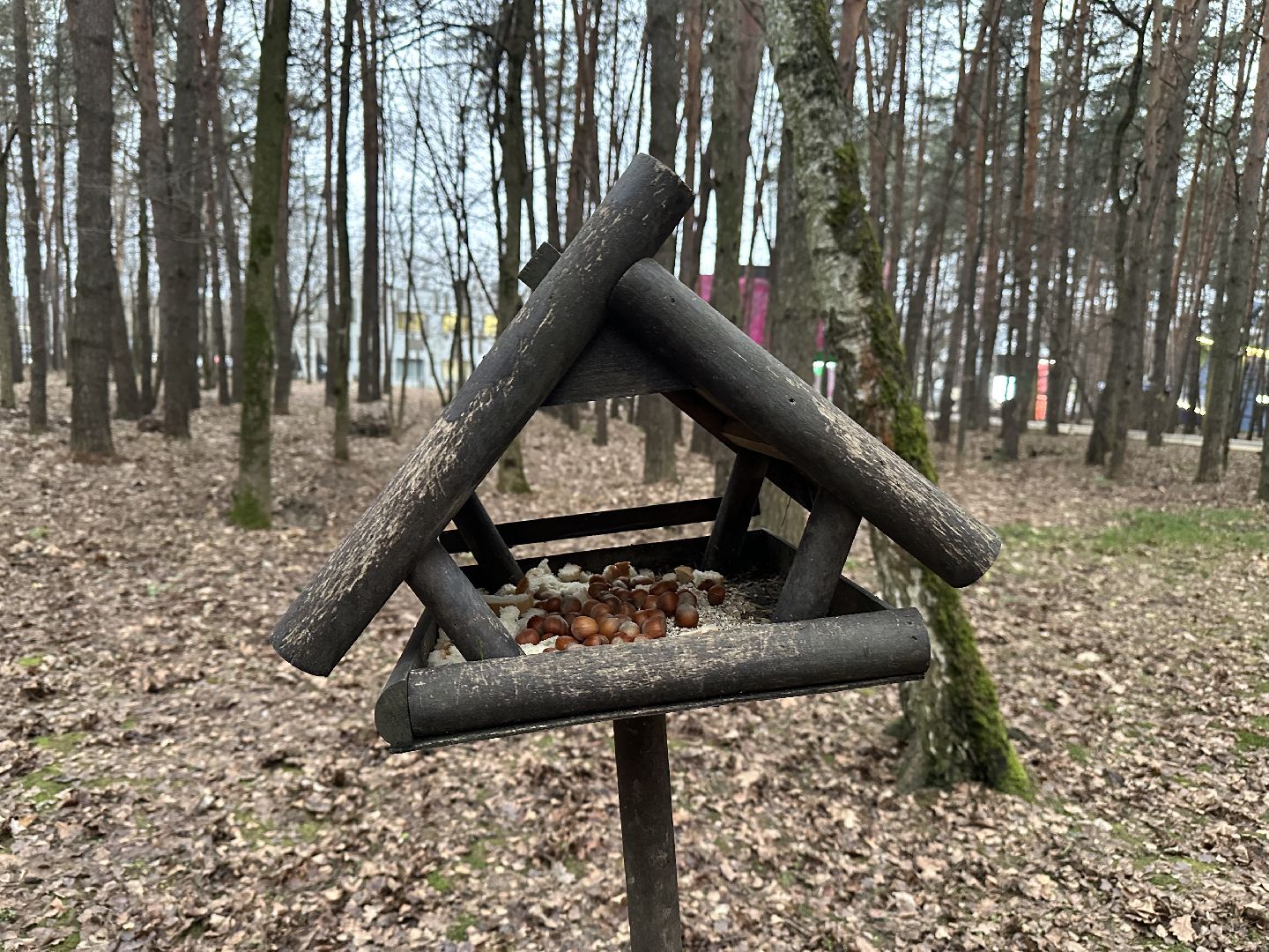 парки, домодедово,