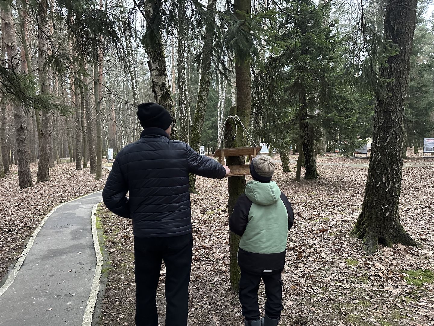 парки, домодедово,