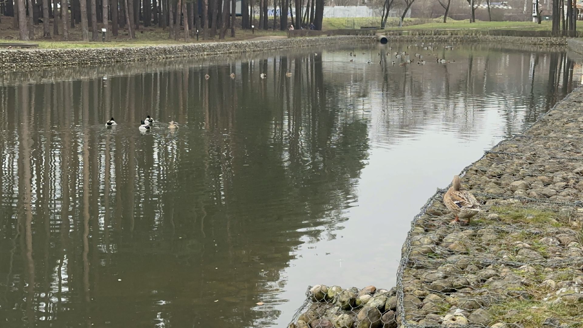 парки, домодедово,