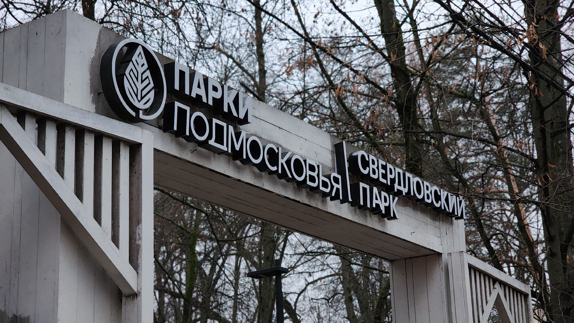 зима в подмосковье, зимний сезон, зима в парке, дети, лосино-петровский,