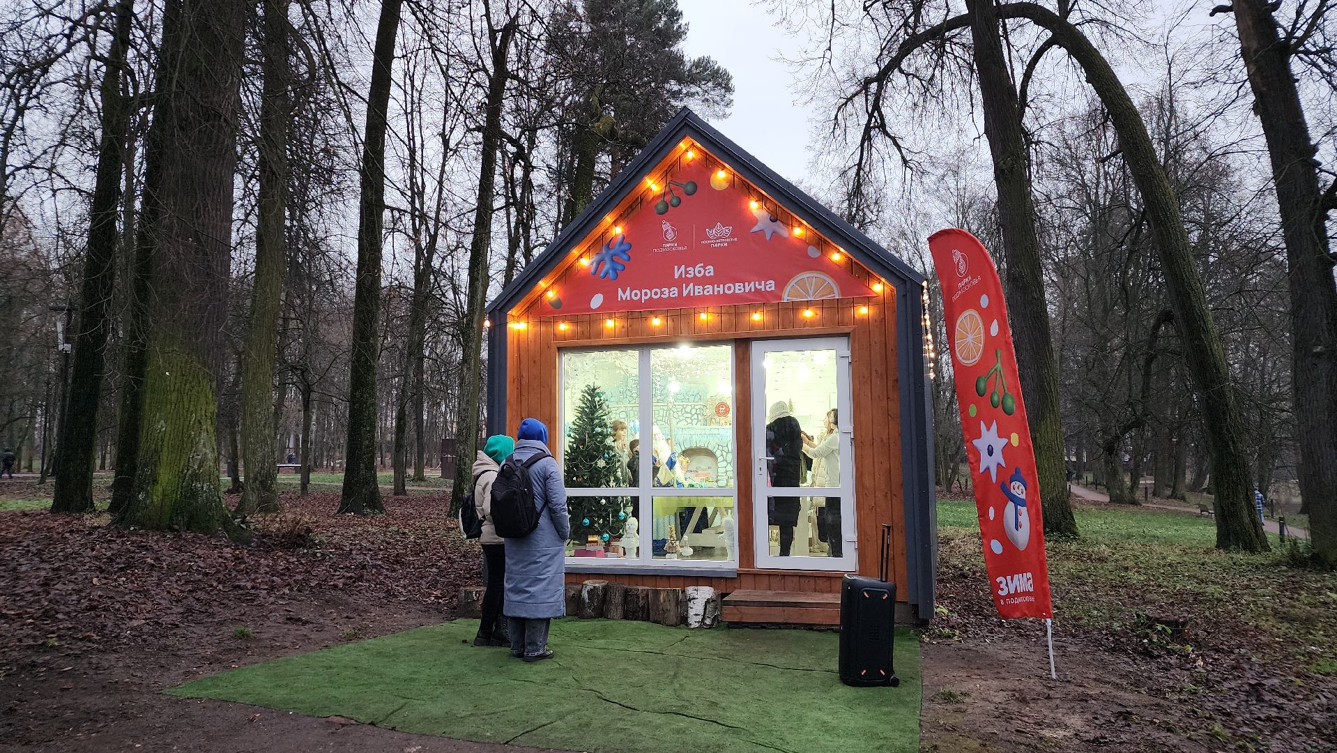 зима в подмосковье, зимний сезон, зима в парке, дети, лосино-петровский,