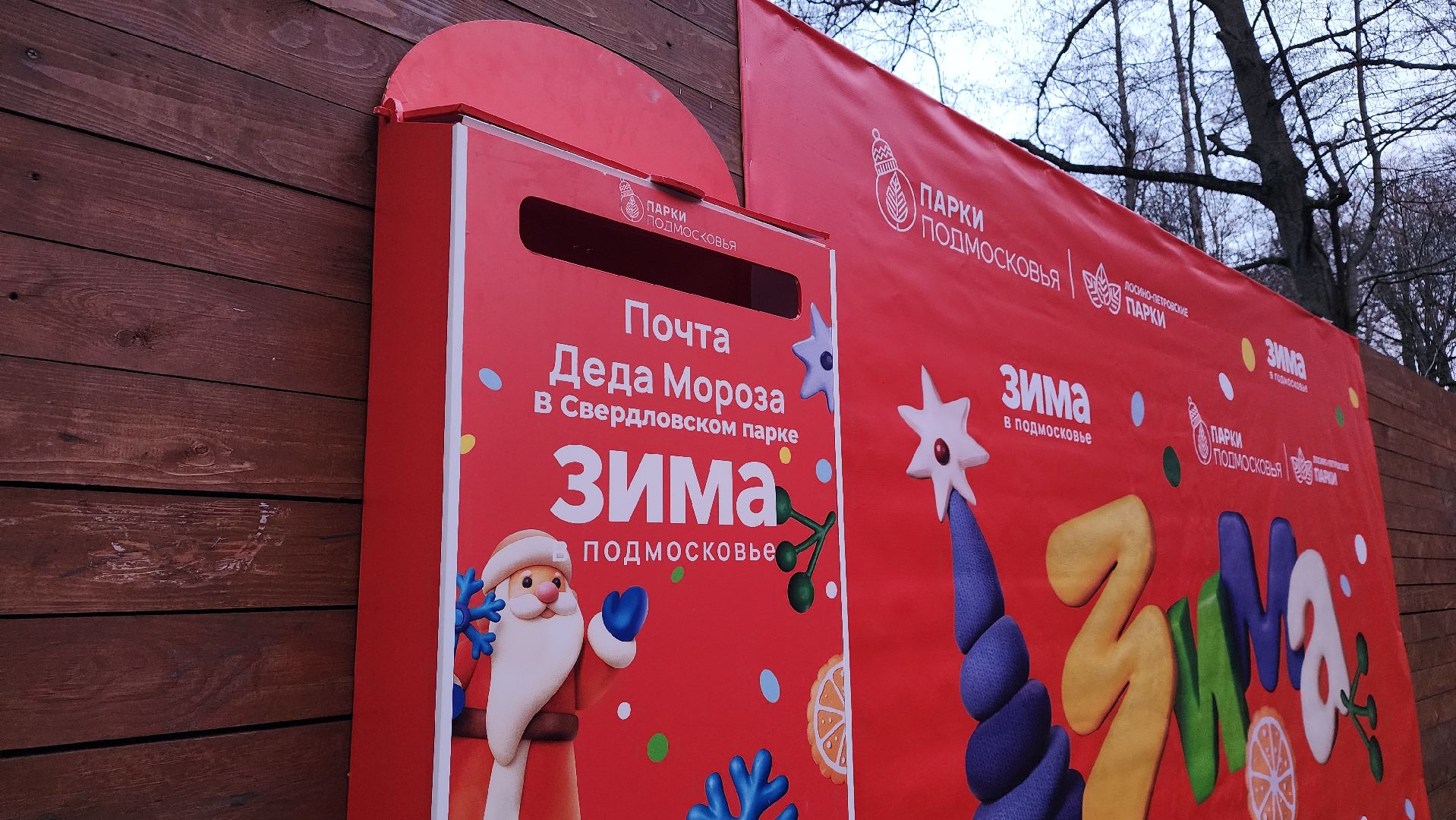 зима в подмомсковье, зима в парках, парки подмосковья, лосино-петровский,