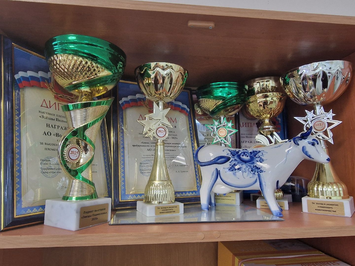 воскресенск, племенное хозяйство, корова-рекордсменка,