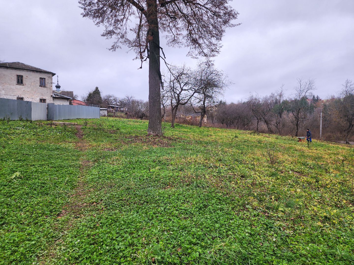 Подольск, Плещеево, Волонтеры, Усадьба,