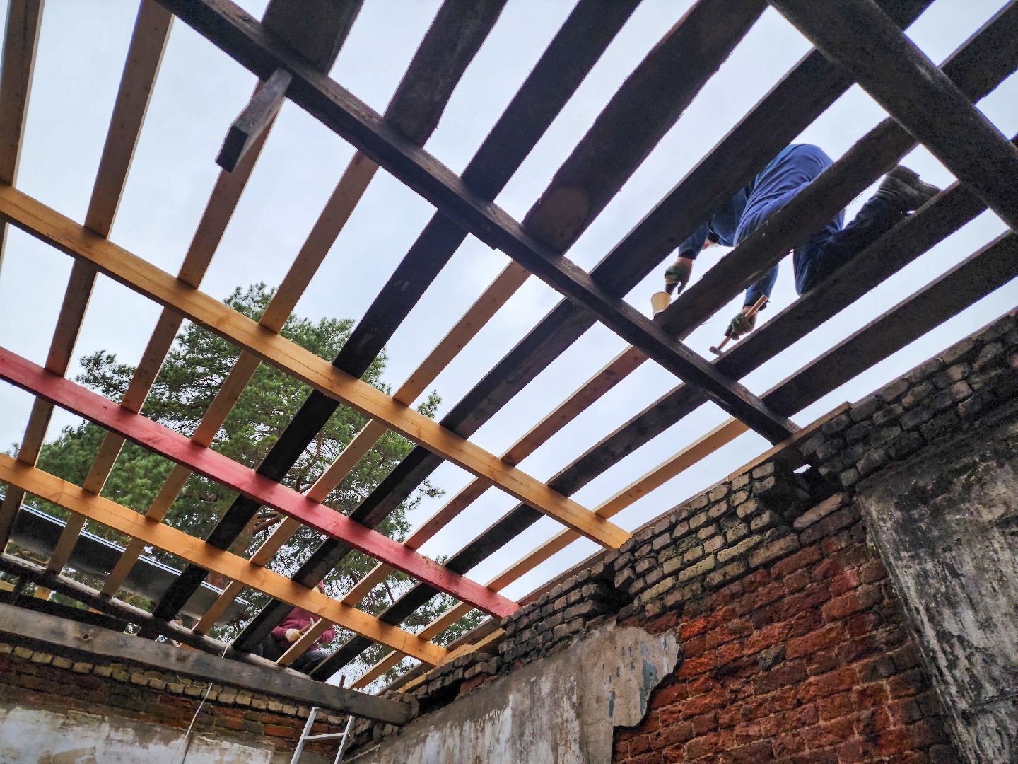 Подольск, Плещеево, Волонтеры, Усадьба,