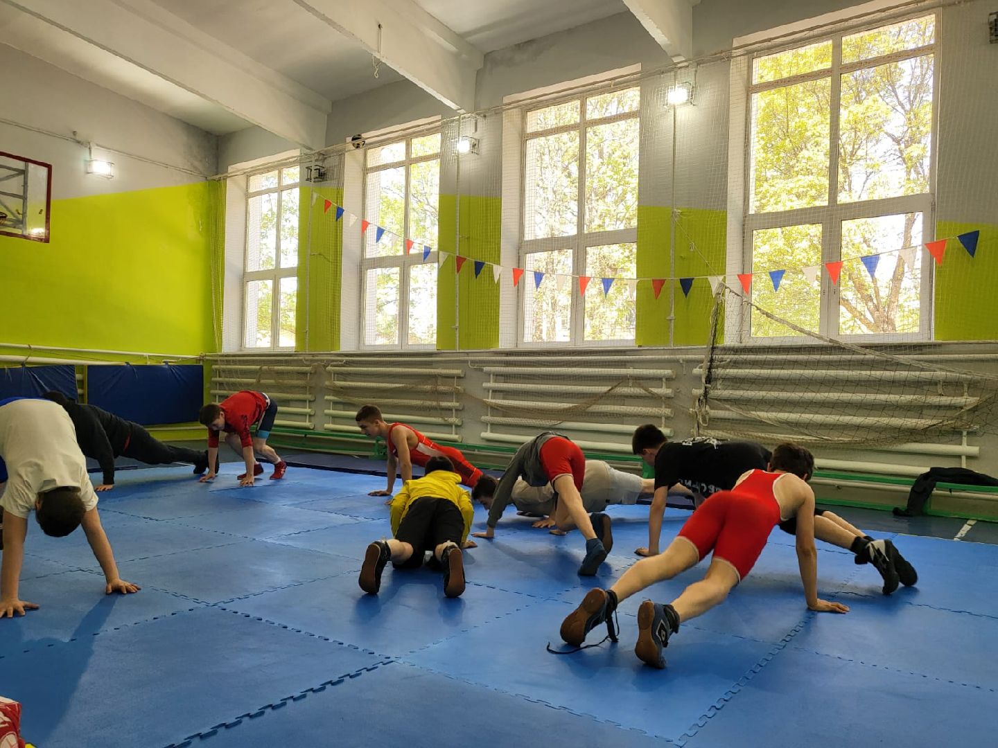 Химки, спорт, спортивный клуб, спортивная секция, борьба