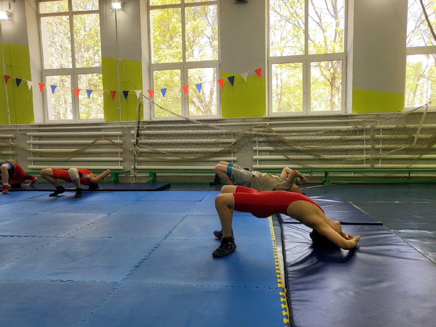 Химки, спорт, спортивный клуб, спортивная секция, борьба