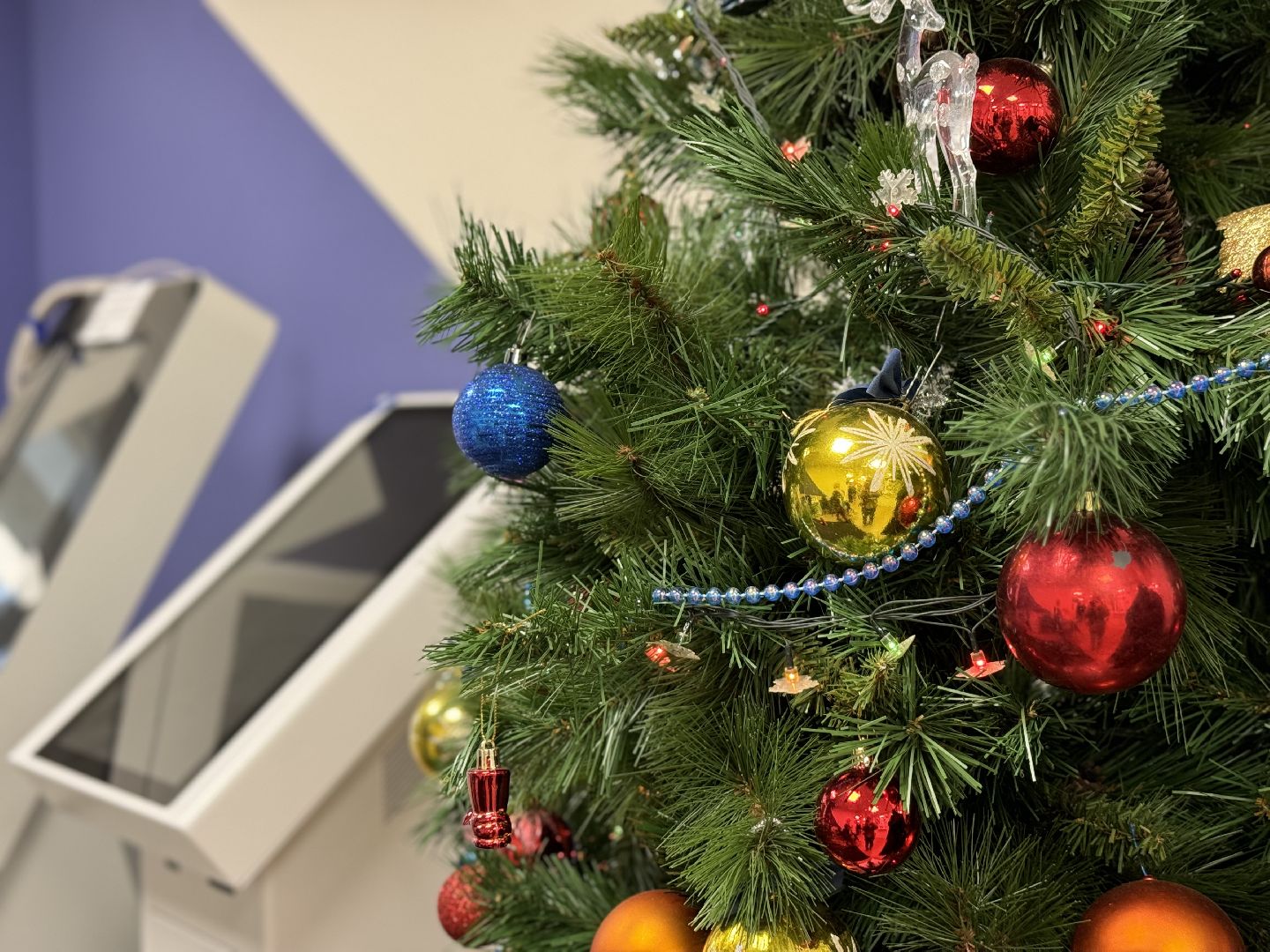 ремонт поликлиники, ленинский городской округ, видновская клиническая больница, амбулатория ,