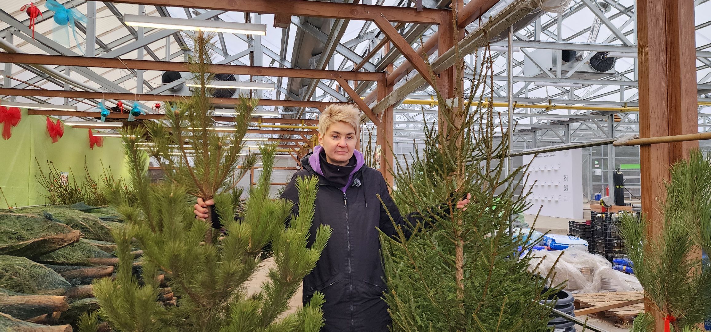 Химки, Елки, Новый год,