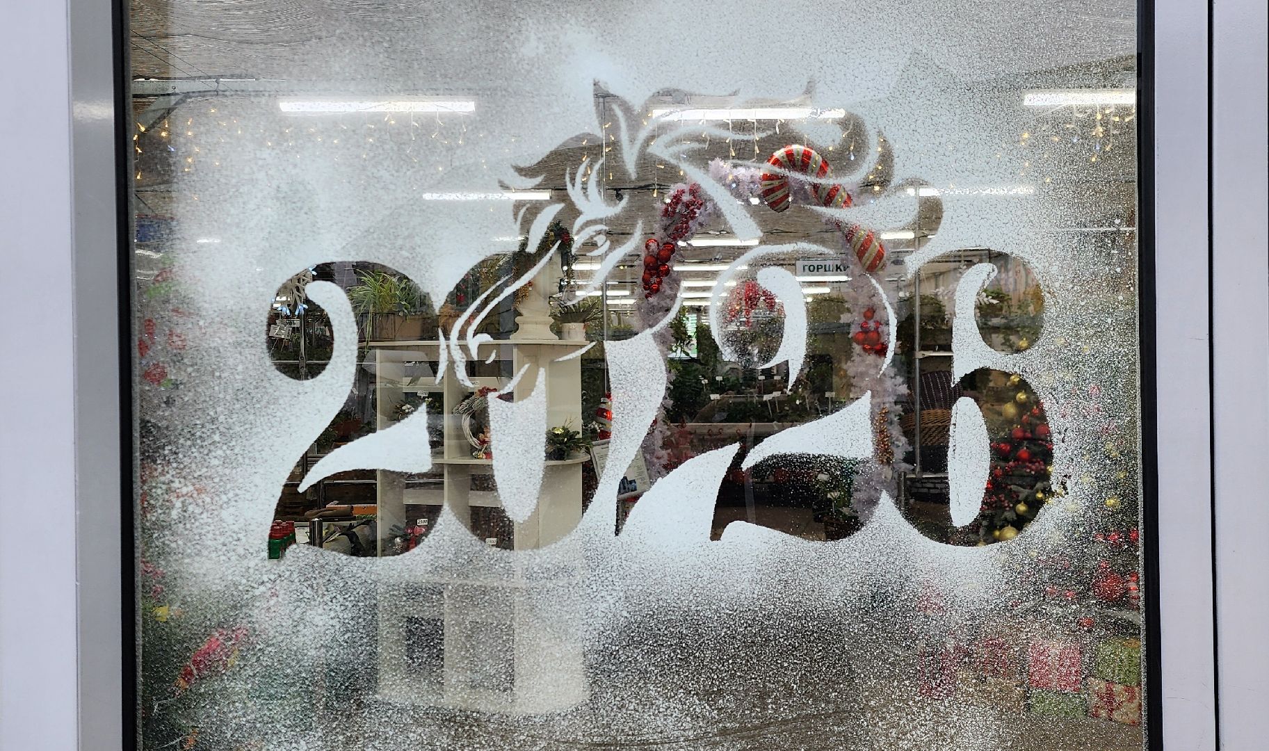 Химки, Елки, Новый год,