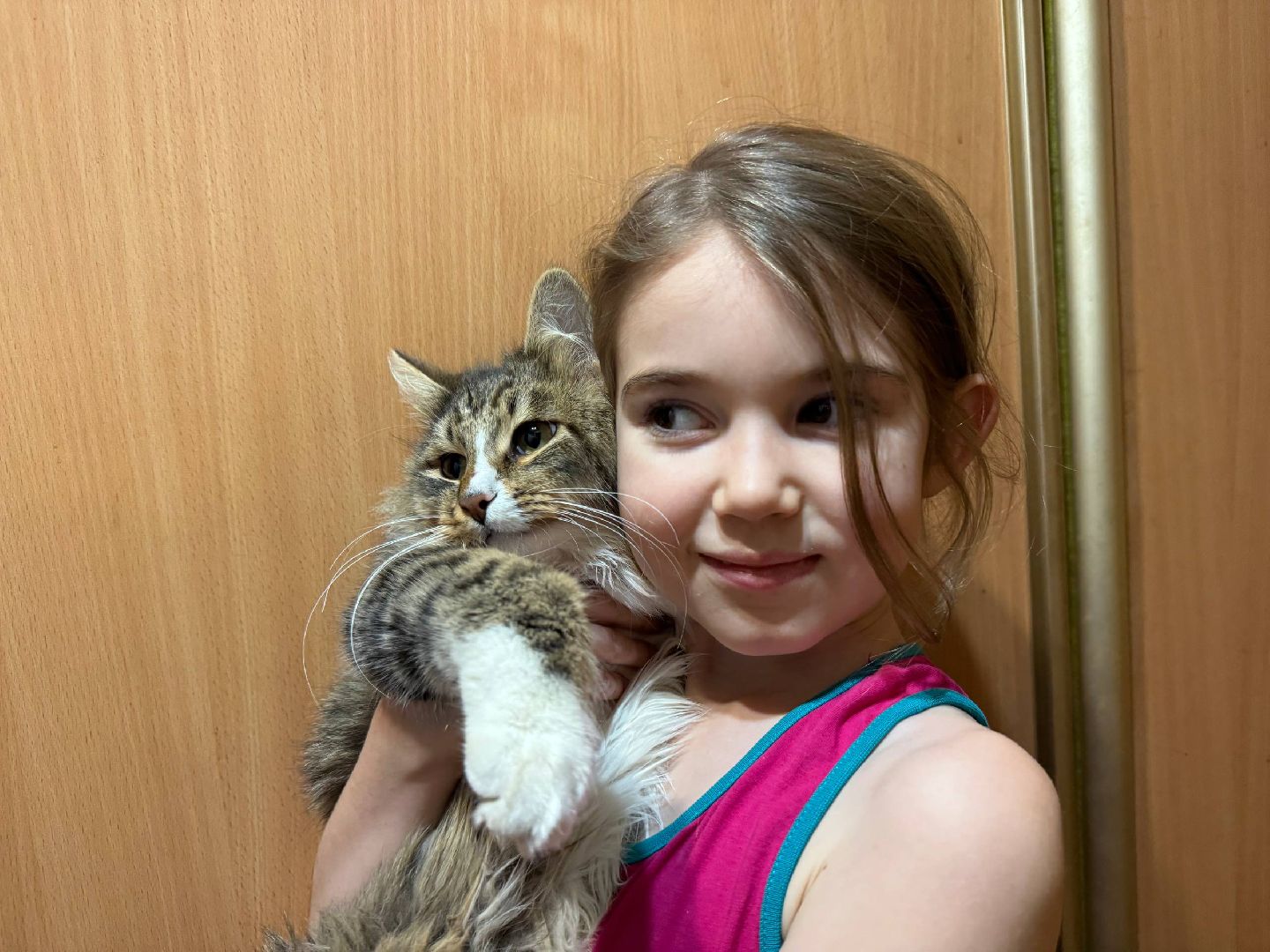 можайск, можайский муниципальный округ, подмосковье, елка желаний, общество, благотворительные акции, новый год, новогоднее чудо,