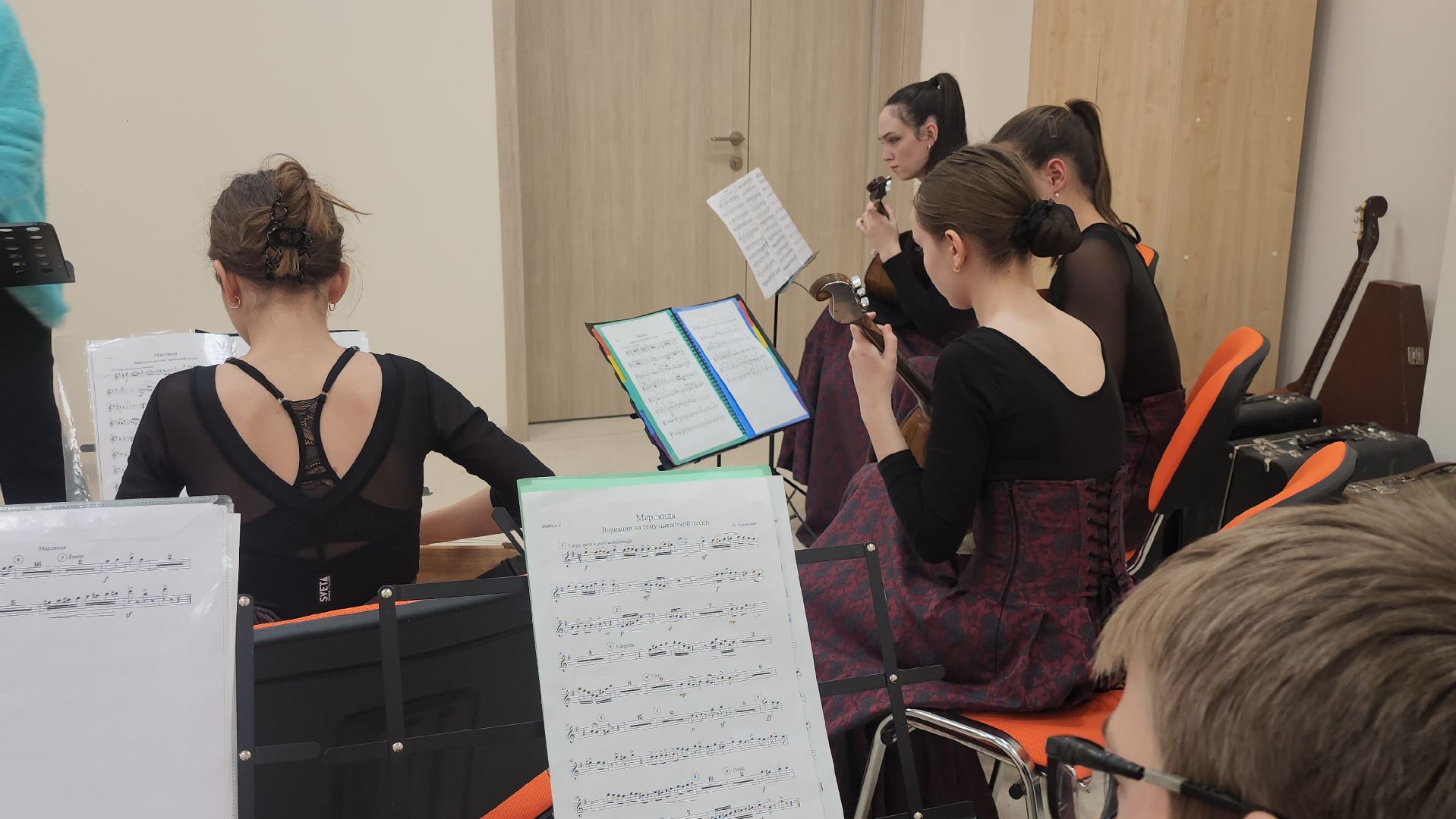 гусли, красногорск, музыкальная школа,