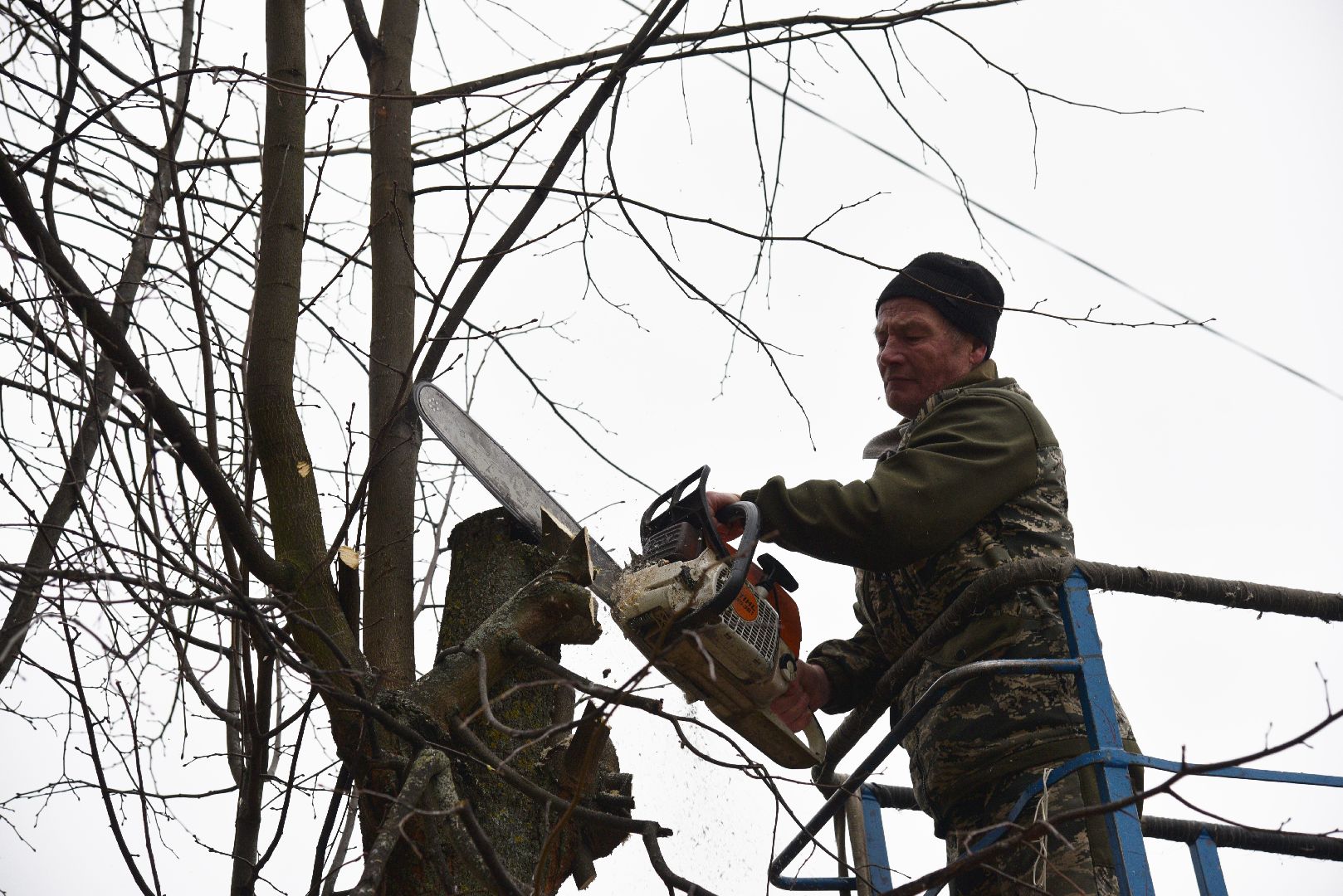 лотошино, благоустройство, добродел, опиловка деревьев,