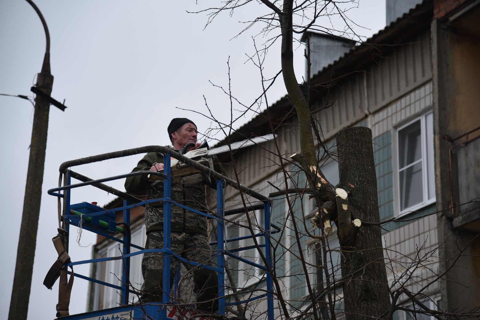 лотошино, благоустройство, добродел, опиловка деревьев,