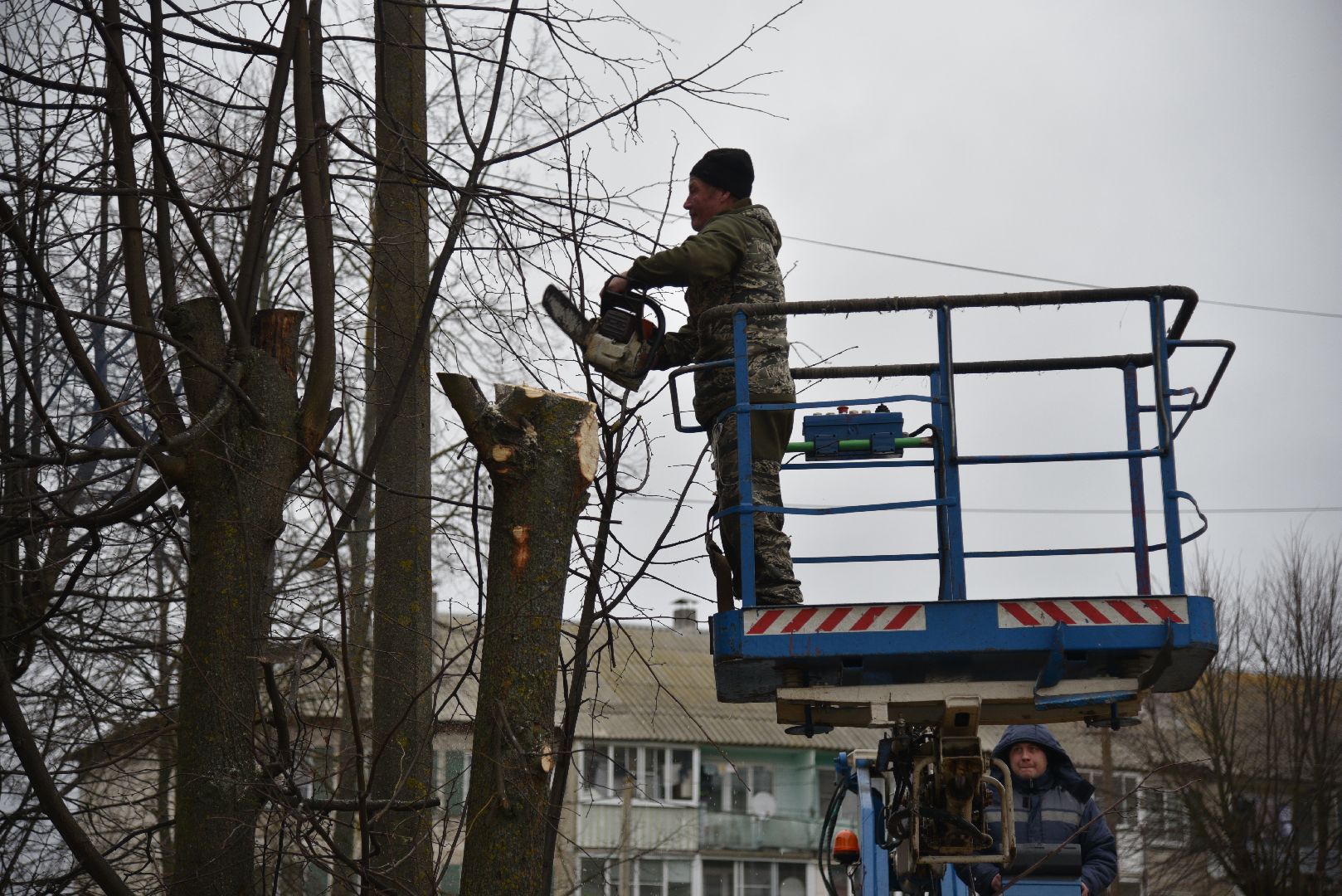 лотошино, благоустройство, добродел, опиловка деревьев,