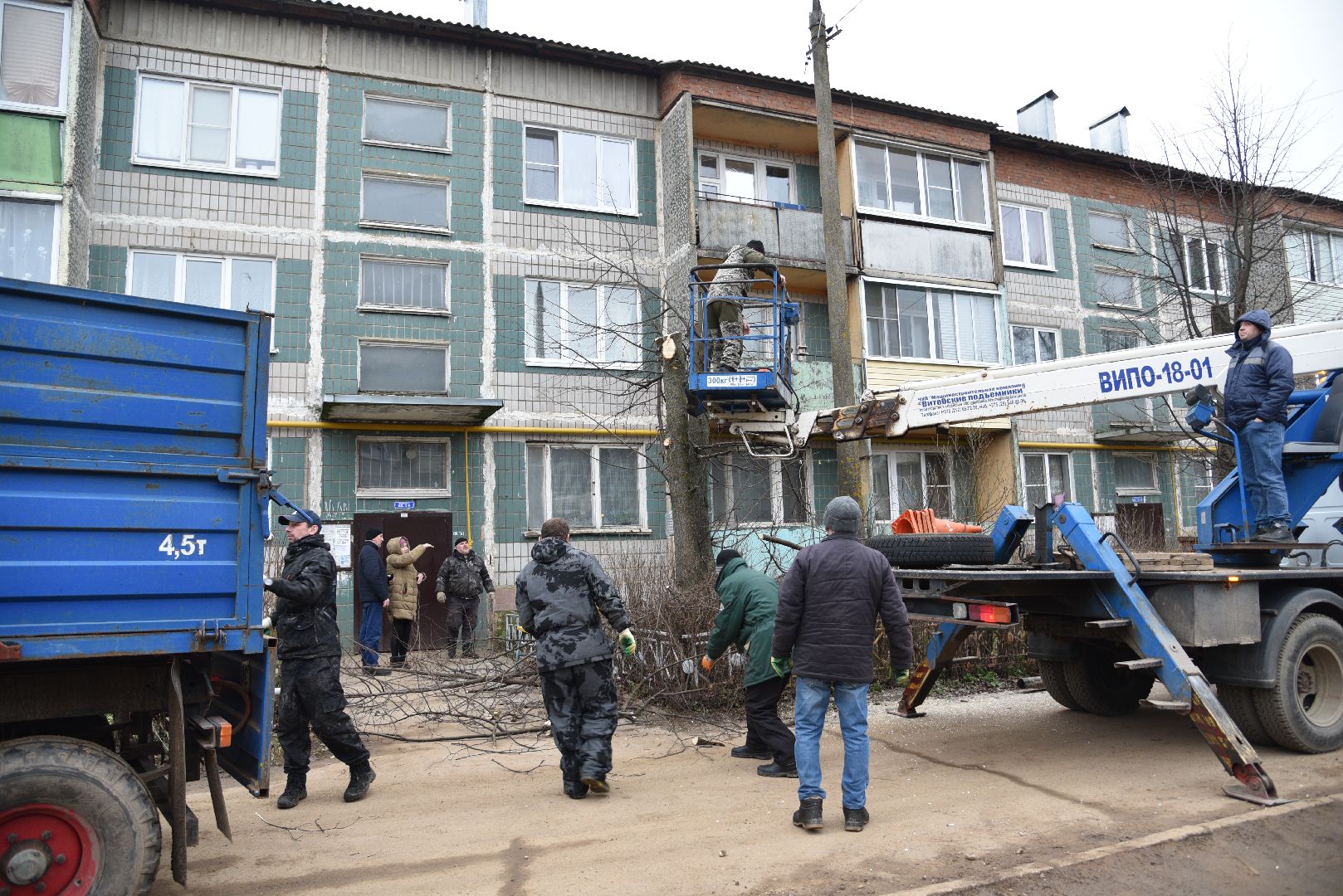 лотошино, благоустройство, добродел, опиловка деревьев,
