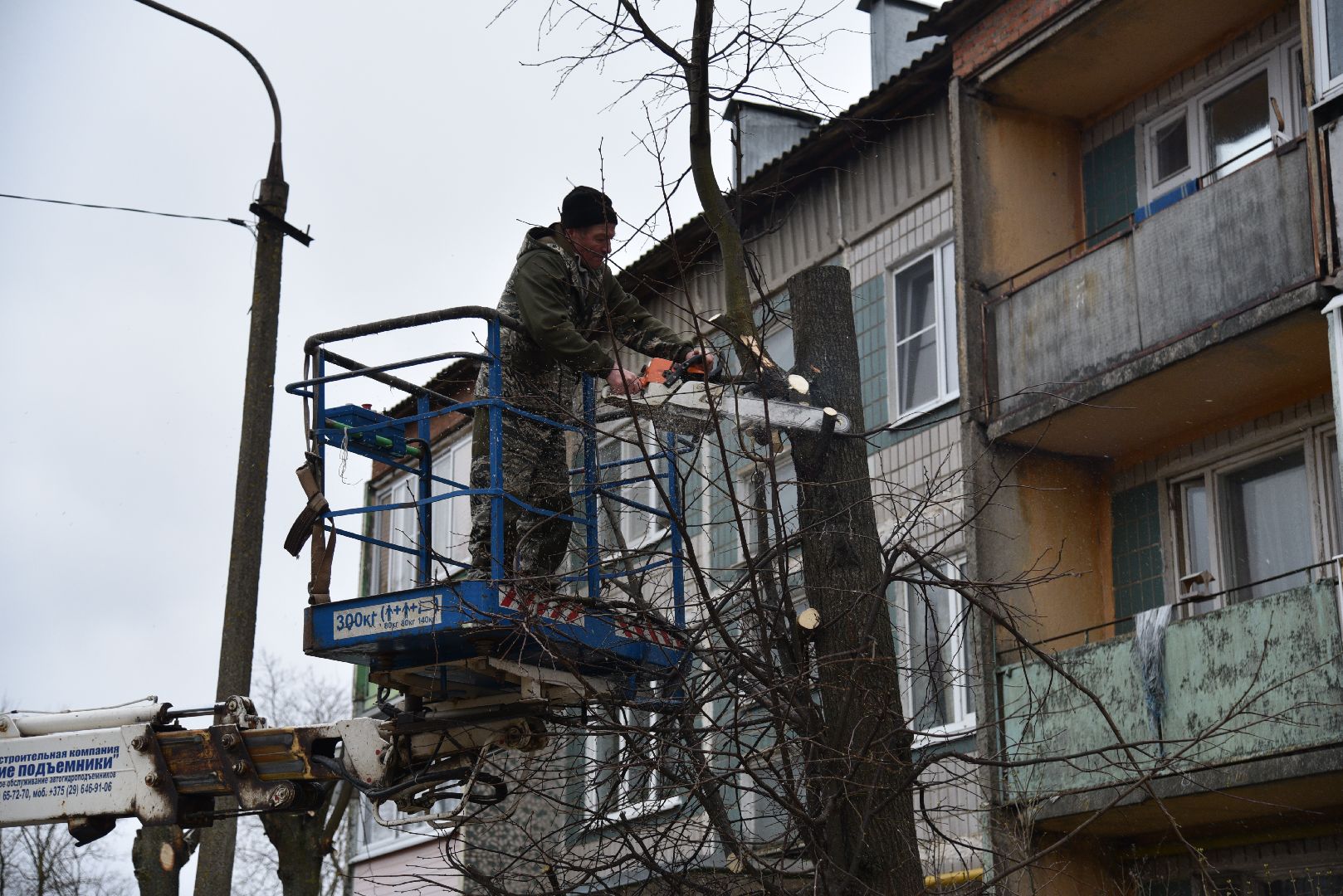 лотошино, благоустройство, добродел, опиловка деревьев,