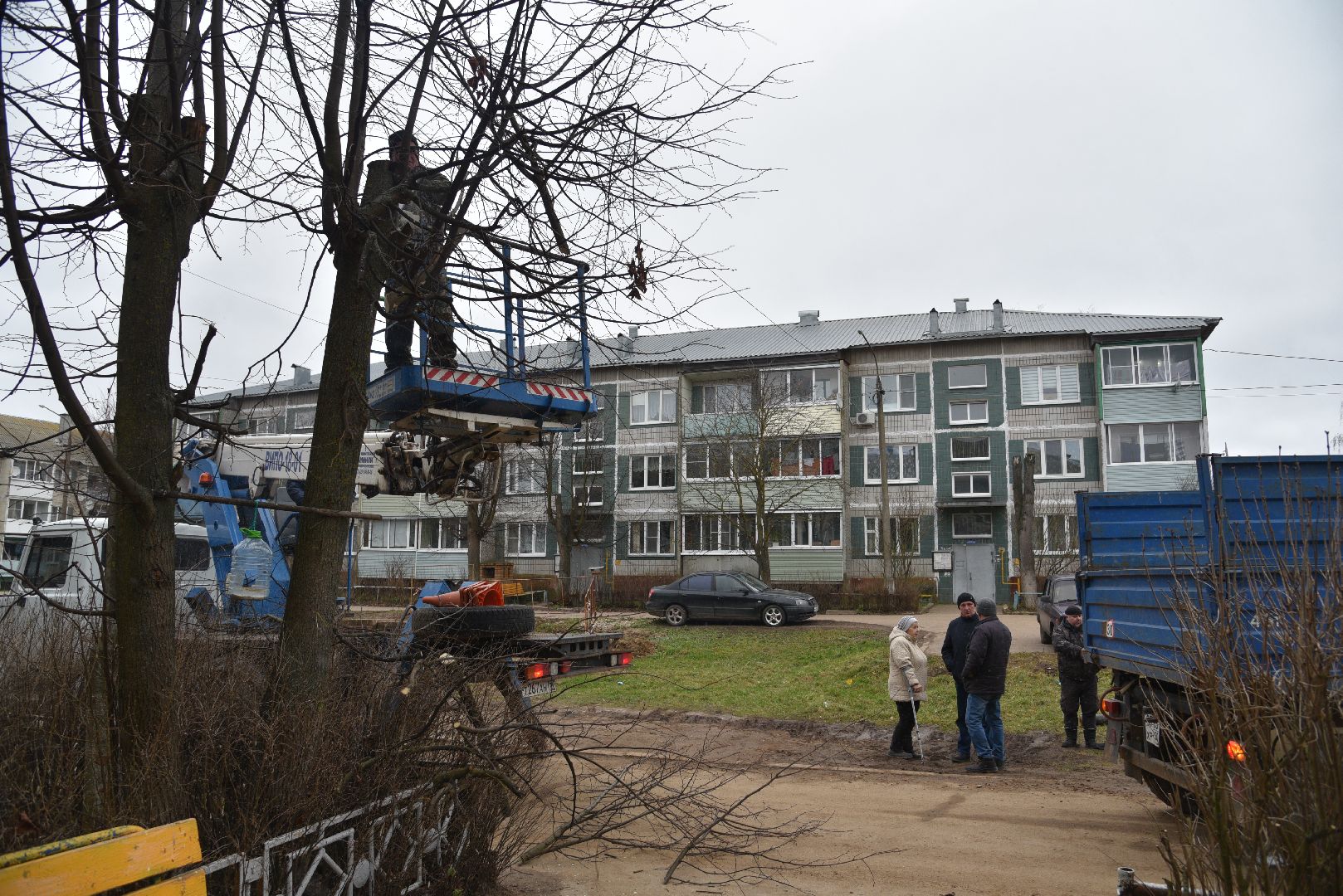 лотошино, благоустройство, добродел, опиловка деревьев,