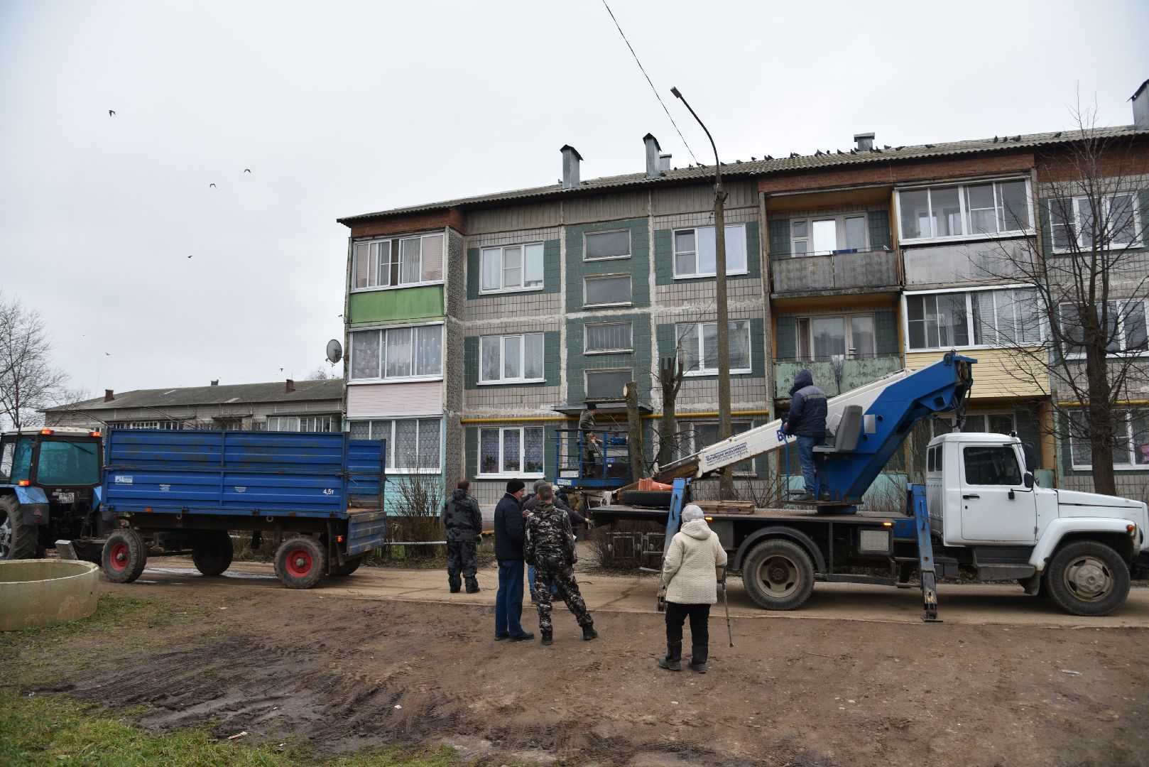 лотошино, благоустройство, добродел, опиловка деревьев,