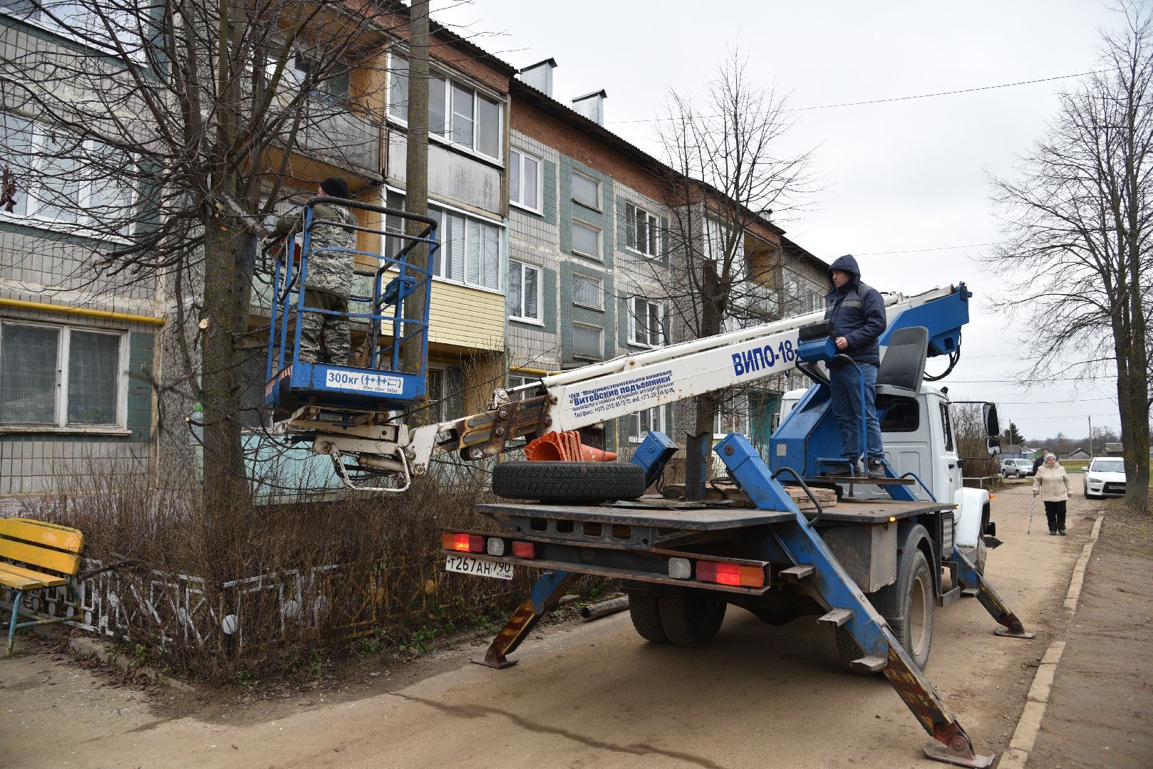 лотошино, благоустройство, добродел, опиловка деревьев,