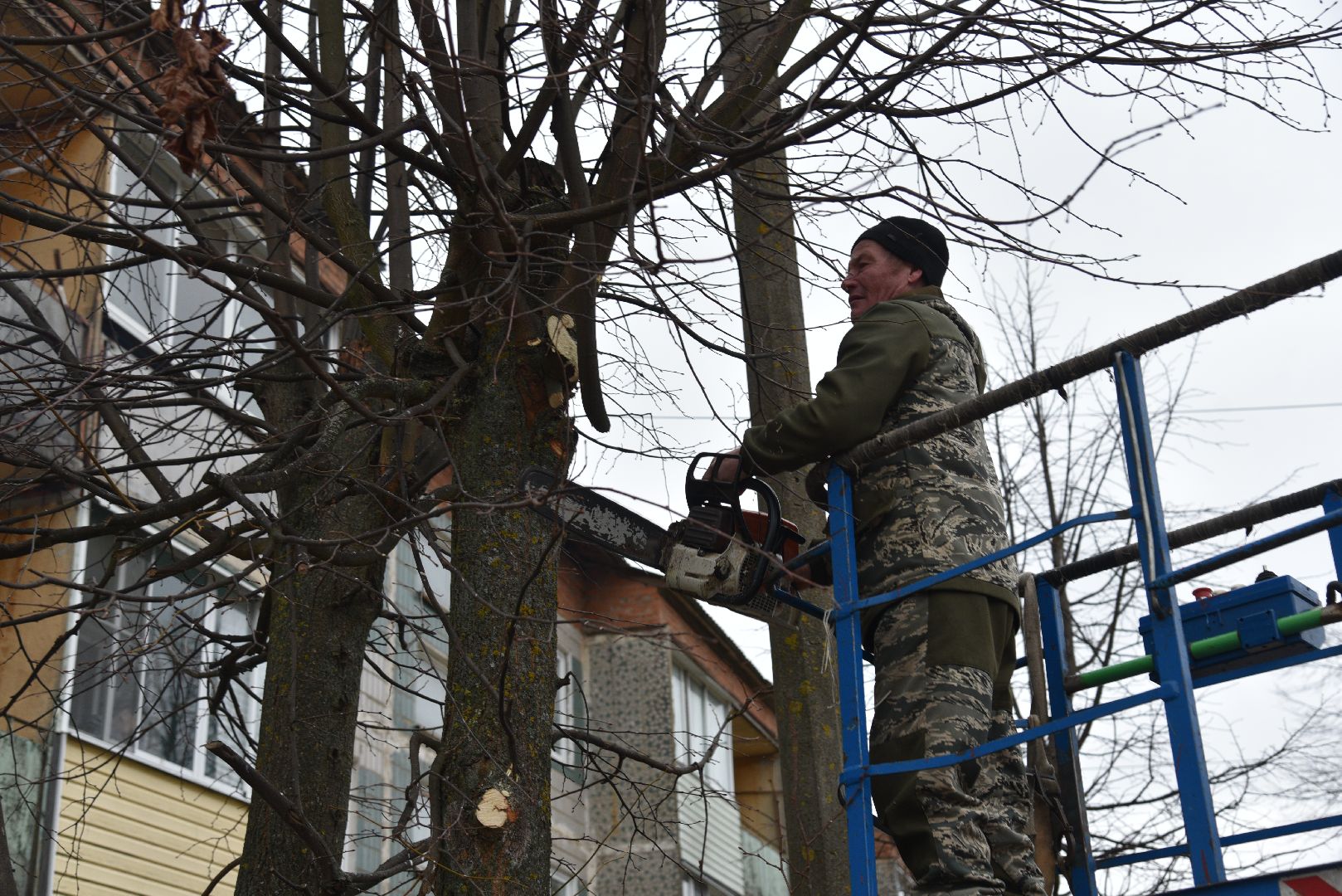 лотошино, благоустройство, добродел, опиловка деревьев,