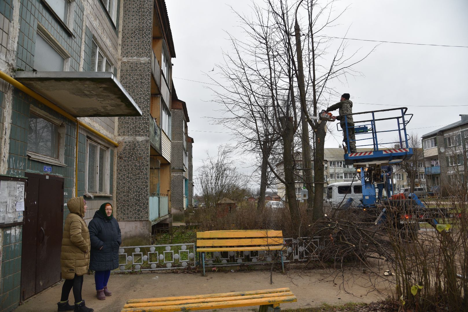 лотошино, благоустройство, добродел, опиловка деревьев,