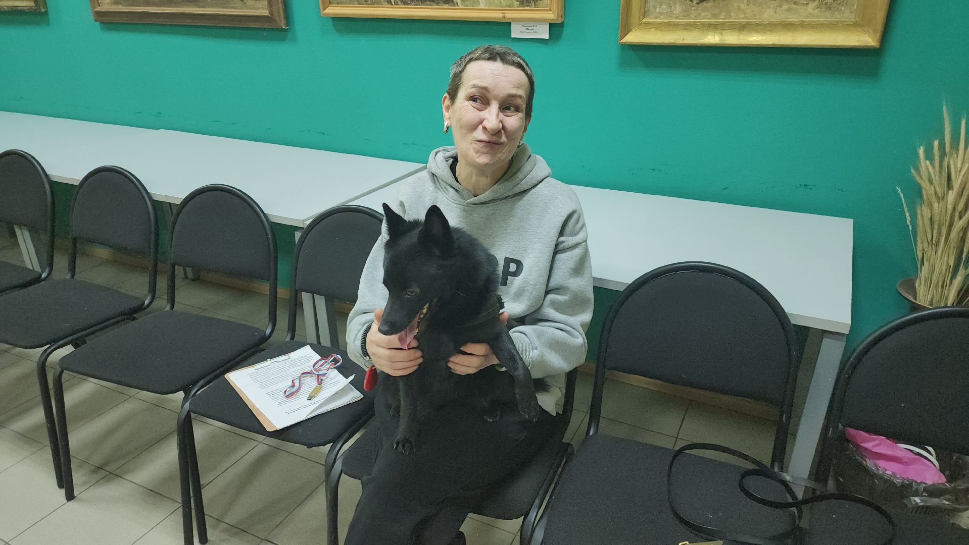 долгопрудный, кинологи, x-легион, шипперке, бельгийская овчарка, фронтовая собака, собака-диверсант,